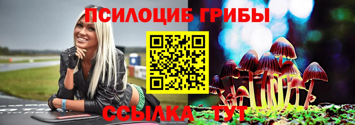 Кинель  Псилоцибиновые грибы GOLDEN TEACHER  Вход с VPN 