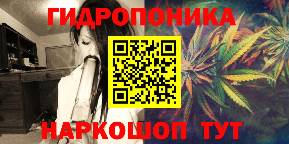 Шишки марихуана семена  Вход с VPN  Кинель  Канабис White Widow  Конопля OG Kush  Конопля план 
